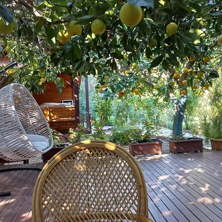 Bahçe Villa Çıralı