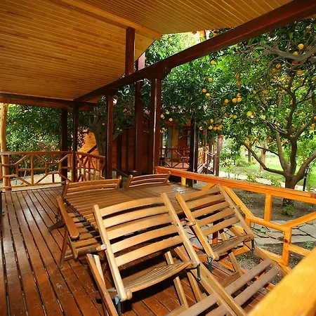 Villa Bahçe Çıralı