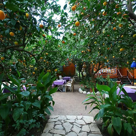 Bahce Villa Cirali