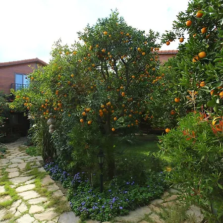 Bahçe Villa Çıralı