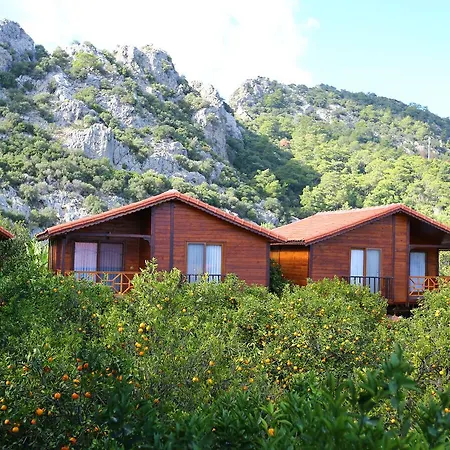 Bahce Villa