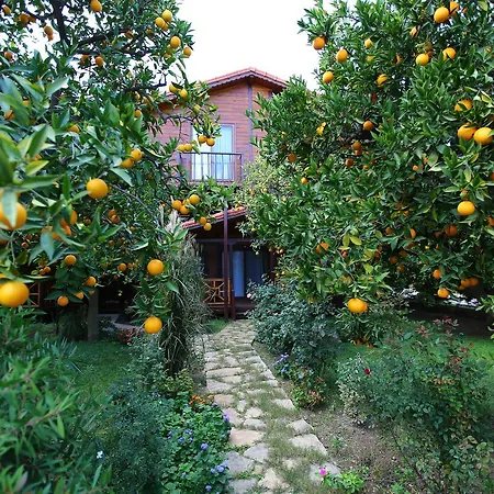 Bahce Villa *