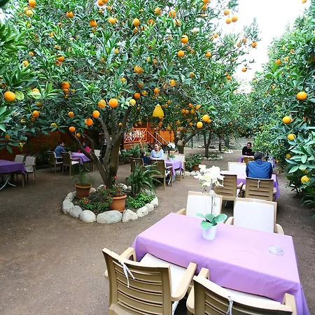 Villa Bahce *