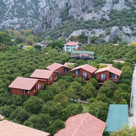 Bahce Villa Cirali