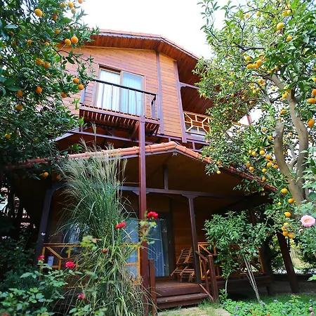 Bahce Villa